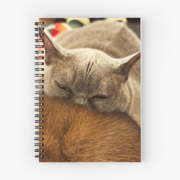 Item preview, Tired Kitten designed and sold by Alice Becky Kahn.