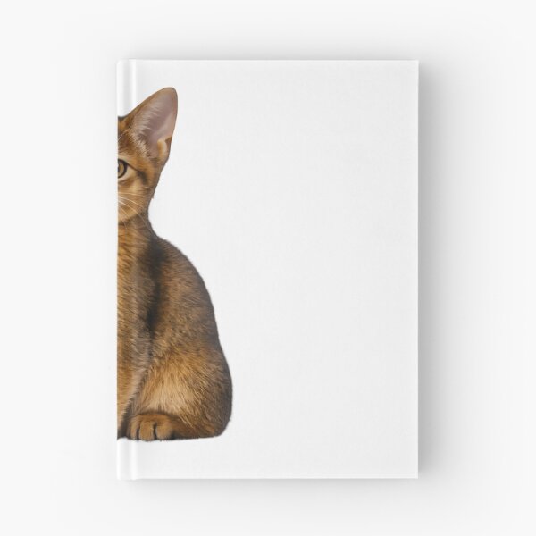 Item preview, Cute Abyssinian Kitten Portrait designed and sold by AmirArtisanVibe.
