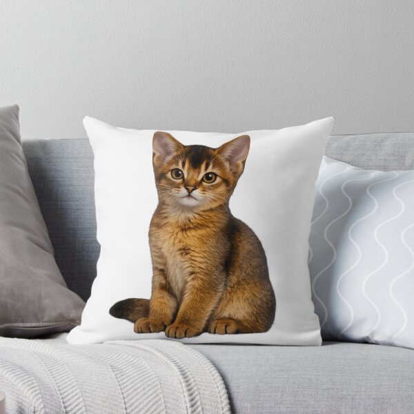 Item preview, Cute Abyssinian Kitten Portrait designed and sold by AmirArtisanVibe.