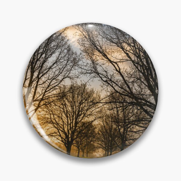 Item preview, Sunlit autumnal path designed and sold by Astute-Artio-Photography.