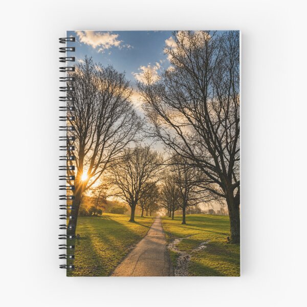 Item preview, Sunlit autumnal path designed and sold by Astute-Artio-Photography.