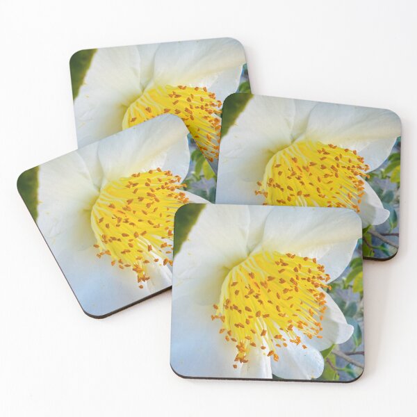 Item preview, Elegant White Camellia with Golden Stamens designed and sold by BalkanBloomArt.