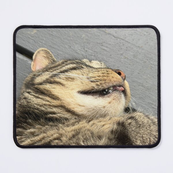 Item preview, Kitty Blep designed and sold by Alice Becky Kahn.