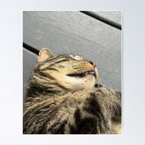 Item preview, Kitty Blep designed and sold by Alice  Becky Kahn.