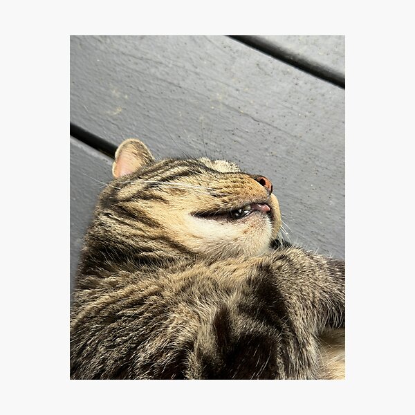 Item preview, Kitty Blep designed and sold by Alice  Becky Kahn.