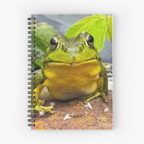 Item preview, Frog Face designed and sold by Alice  Becky Kahn.