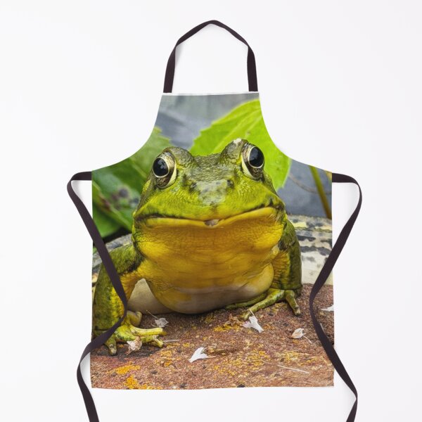 Item preview, Frog Face designed and sold by Alice Becky Kahn.