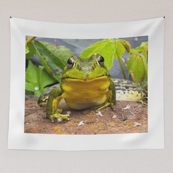 Item preview, Frog Face designed and sold by Alice  Becky Kahn.