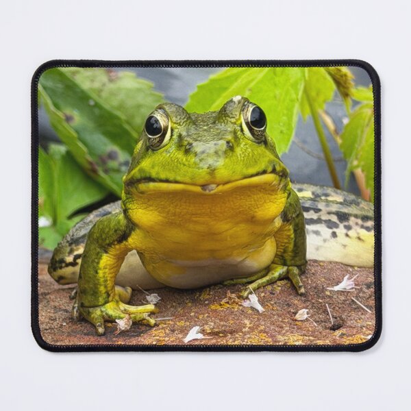 Item preview, Frog Face designed and sold by Alice  Becky Kahn.