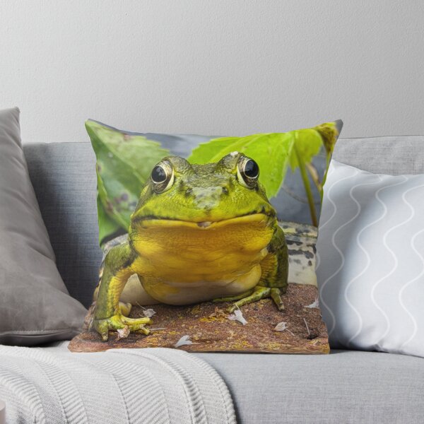 Item preview, Frog Face designed and sold by Alice  Becky Kahn.