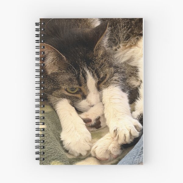 Item preview, Sleeping Cat designed and sold by Alice  Becky Kahn.
