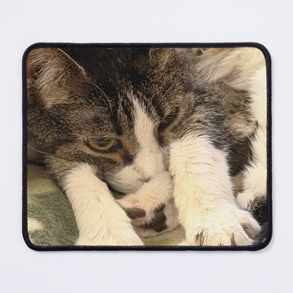 Item preview, Sleeping Cat designed and sold by Alice Becky Kahn.