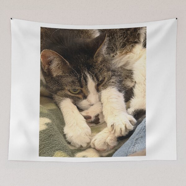 Item preview, Sleeping Cat designed and sold by Alice  Becky Kahn.