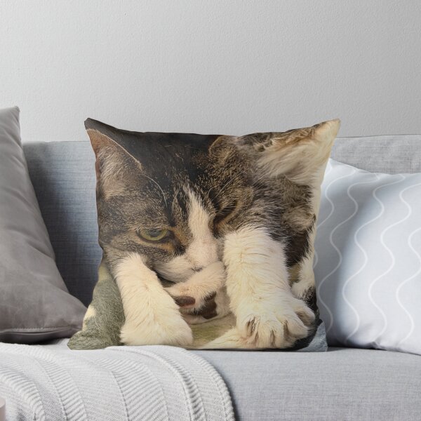 Item preview, Sleeping Cat designed and sold by Alice  Becky Kahn.