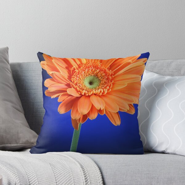 Item preview, A Orange Daisy on a Blue Background. designed and sold by NickTshirts.