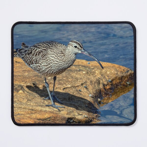 Item preview, Whimbrel designed and sold by Tom McPherson Photography.