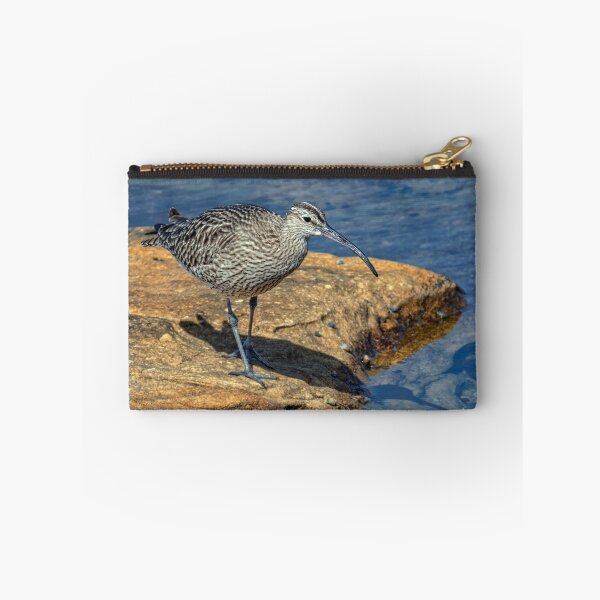 Item preview, Whimbrel designed and sold by Tom McPherson Photography.