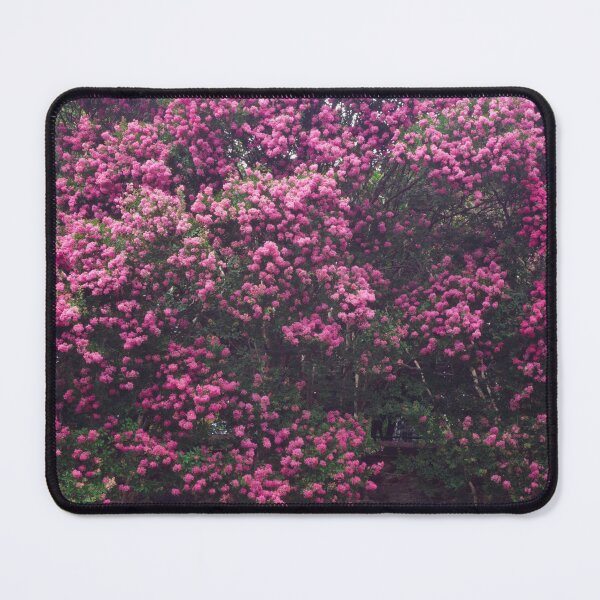 Item preview, Pink Crepe Myrtles Close-Up II designed and sold by OHPhotography.