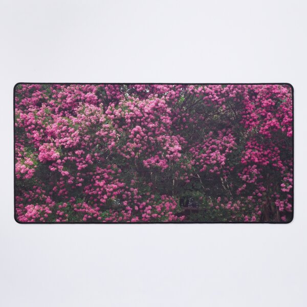 Item preview, Pink Crepe Myrtles Close-Up II designed and sold by OHPhotography.