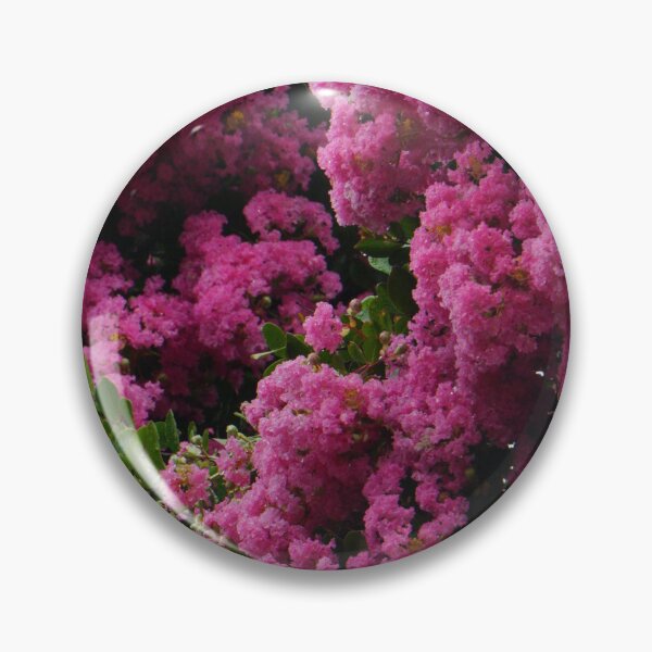 Item preview, Pink Crepe Myrtles Close-Up I designed and sold by OHPhotography.