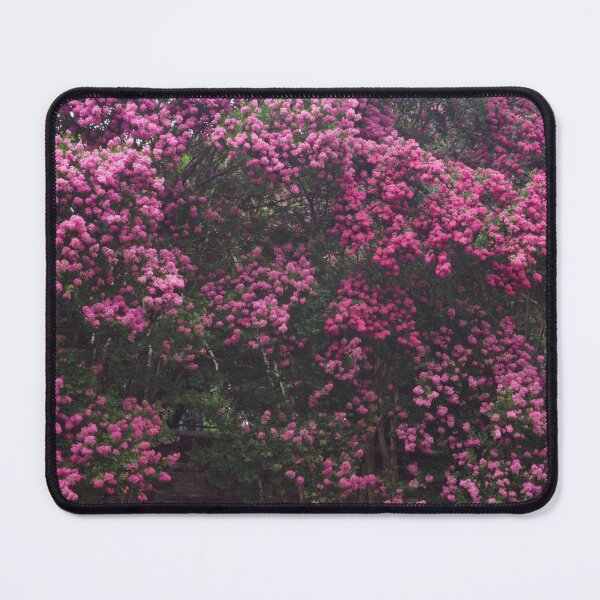 Item preview, Pink Crepe Myrtles Close-Up III designed and sold by OHPhotography.