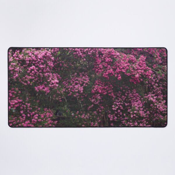 Item preview, Pink Crepe Myrtles Close-Up III designed and sold by OHPhotography.