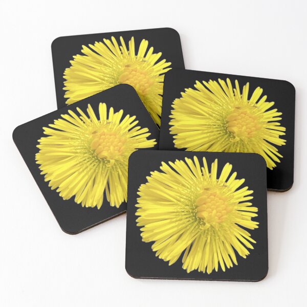 Item preview, Isolated Yellow Coltsfoot Dandelion Flower Macro Cutout designed and sold by BalkanBloom.