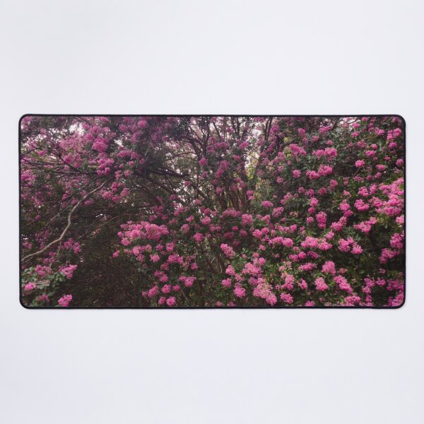 Item preview, Pink Crepe Myrtles Close-Up IV designed and sold by OHPhotography.