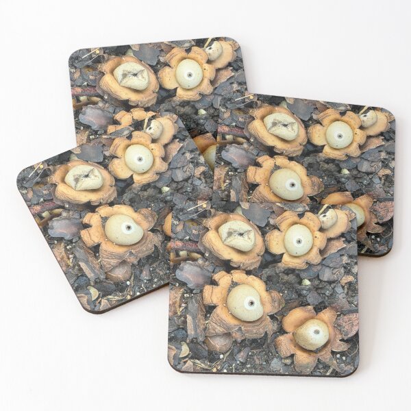 Item preview, Earth Stars designed and sold by Alice  Becky Kahn.