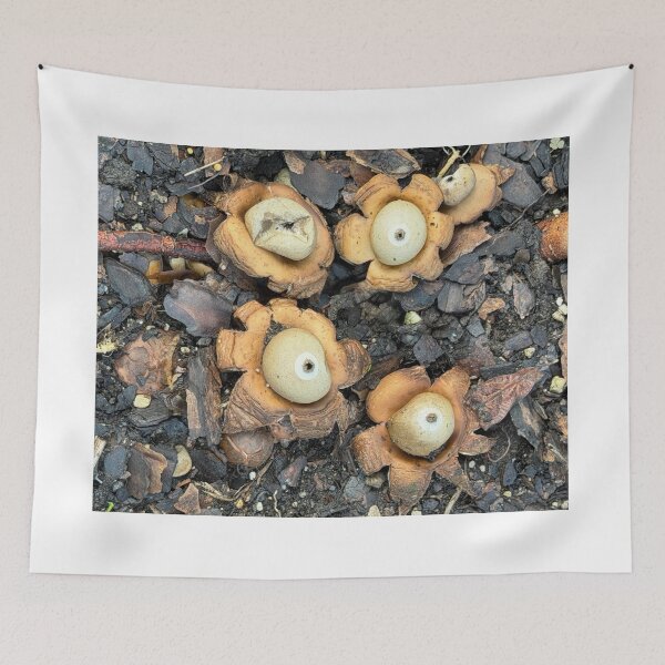 Item preview, Earth Stars designed and sold by Alice  Becky Kahn.