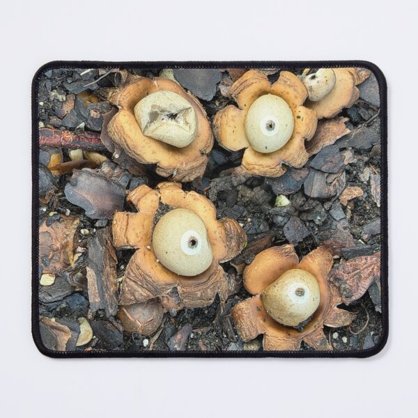 Item preview, Earth Stars designed and sold by Alice Becky Kahn.