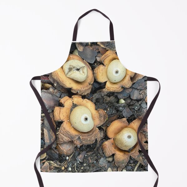 Item preview, Earth Stars designed and sold by Alice Becky Kahn.