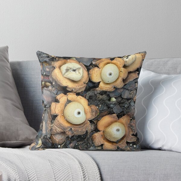 Item preview, Earth Stars designed and sold by Alice  Becky Kahn.