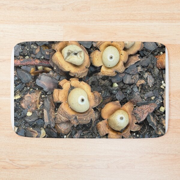 Item preview, Earth Stars designed and sold by Alice  Becky Kahn.