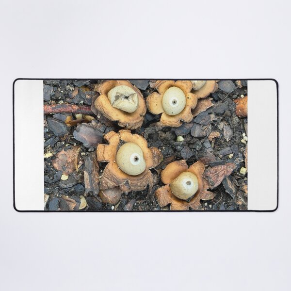 Item preview, Earth Stars designed and sold by Alice Becky Kahn.