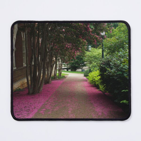 Item preview, Pink Crepe Myrtle Walkway II designed and sold by OHPhotography.