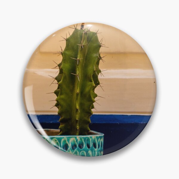 Item preview, Potted Cactus in Textured Turquoise Pot Against Cream Door With Blue Trim for Home Decor designed and sold by Nmallia.