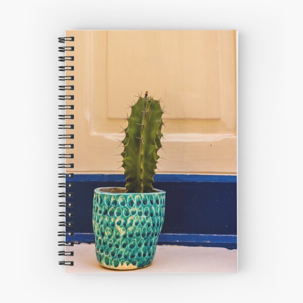 Item preview, Potted Cactus in Textured Turquoise Pot Against Cream Door With Blue Trim for Home Decor designed and sold by Nmallia.