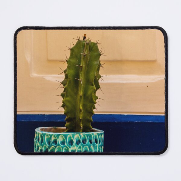 Item preview, Potted Cactus in Textured Turquoise Pot Against Cream Door With Blue Trim for Home Decor designed and sold by Nmallia.