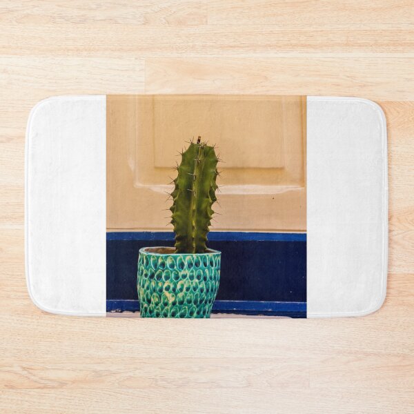 Item preview, Potted Cactus in Textured Turquoise Pot Against Cream Door With Blue Trim for Home Decor designed and sold by Nmallia.