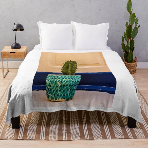 Item preview, Potted Cactus in Textured Turquoise Pot Against Cream Door With Blue Trim for Home Decor designed and sold by Nmallia.