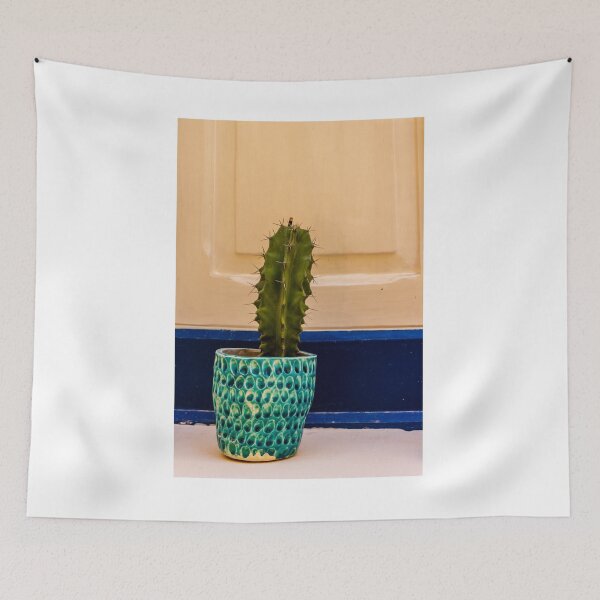 Item preview, Potted Cactus in Textured Turquoise Pot Against Cream Door With Blue Trim for Home Decor designed and sold by Nmallia.