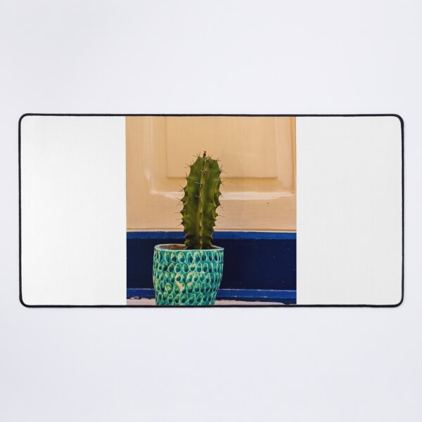 Item preview, Potted Cactus in Textured Turquoise Pot Against Cream Door With Blue Trim for Home Decor designed and sold by Nmallia.