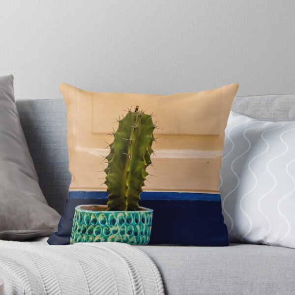 Item preview, Potted Cactus in Textured Turquoise Pot Against Cream Door With Blue Trim for Home Decor designed and sold by Nmallia.