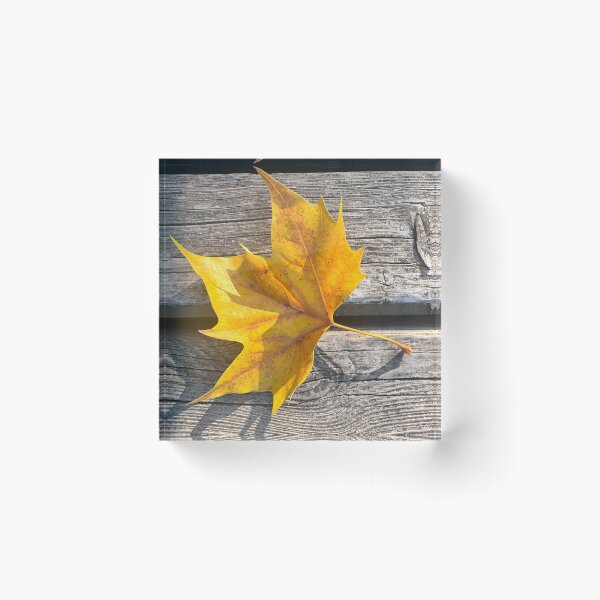 Item preview, tree leaves designed and sold by Chupcha.