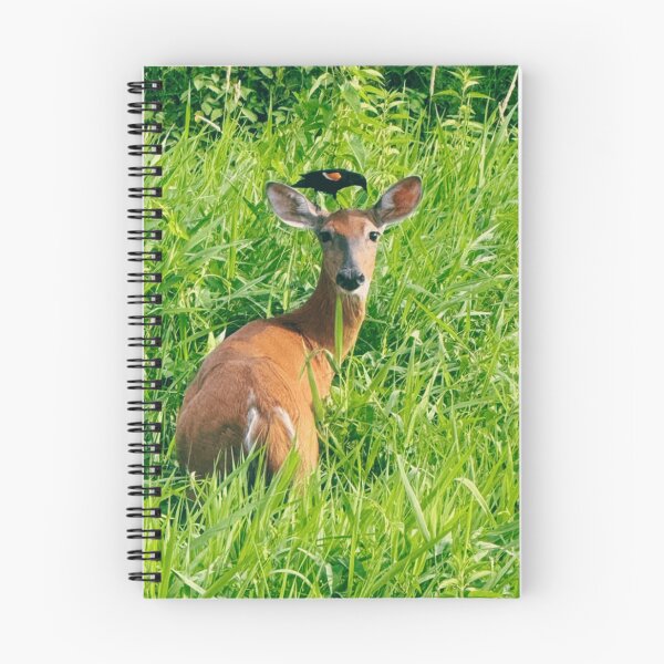 Item preview, Oregon Deer and Red Winged Black Bird in the Tall Grass designed and sold by WigOutlet.