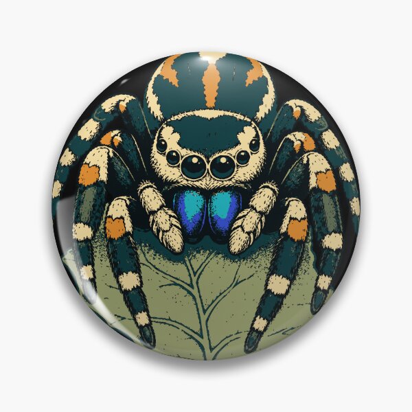 Item preview, Phidippus regius – Regal Jumping Spider Natural History Art designed and sold by Dovarune.