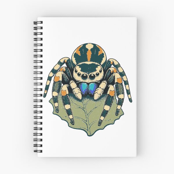 Item preview, Phidippus regius – Regal Jumping Spider Natural History Art designed and sold by Dovarune.