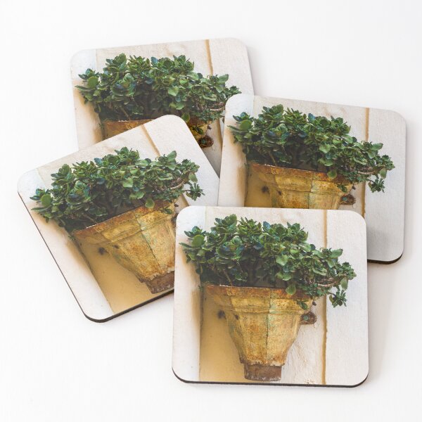Item preview, Rustic Wall Planter With Green Succulent Plants Against A Weathered Cream Stucco Wall designed and sold by Nmallia.