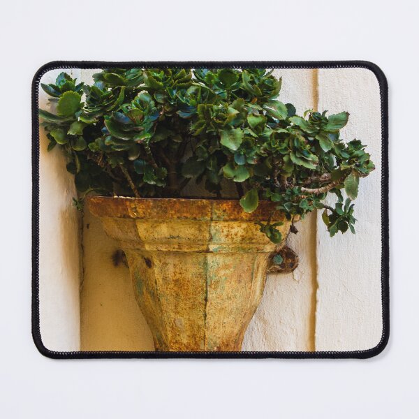 Item preview, Rustic Wall Planter With Green Succulent Plants Against A Weathered Cream Stucco Wall designed and sold by Nmallia.